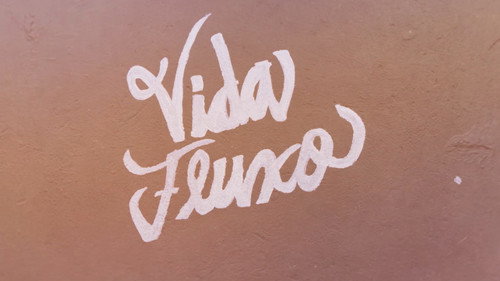 Vida Fluxo - Season 1 Backdrop Blur