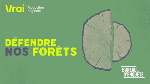 Défendre nos forêts Backdrop Blur