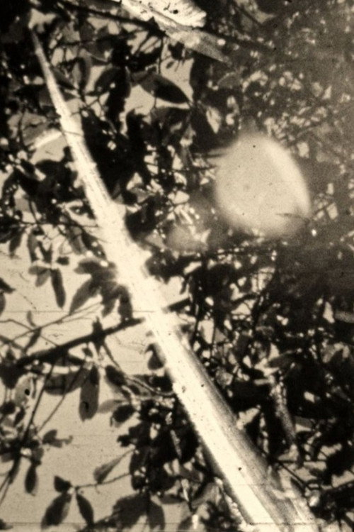 Ephemeral light season of things