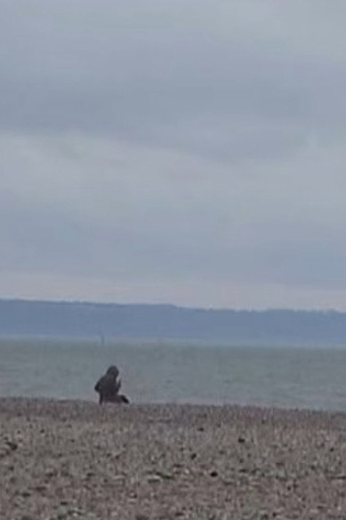 Winter views from Le Havre