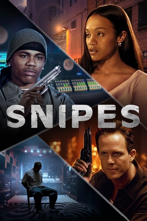 Poster do filme Snipes