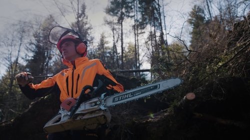 Poster della serie Undercut: l'oro di legno
