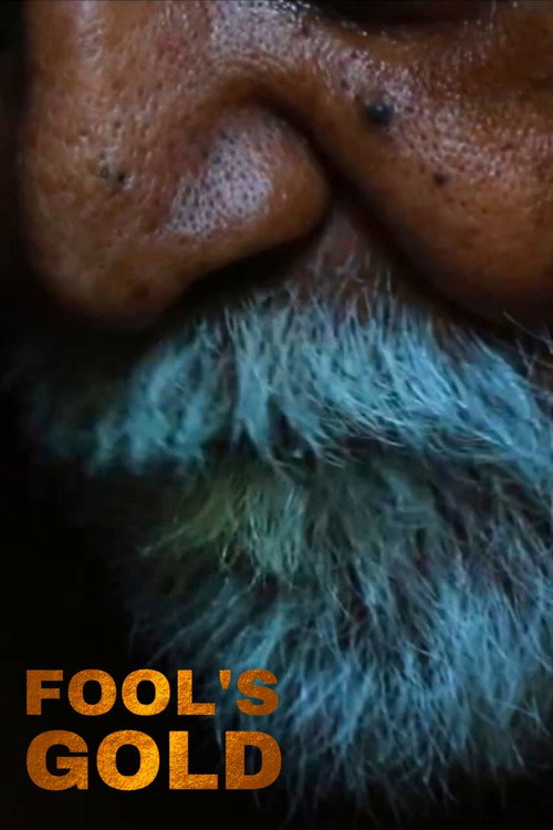 FOOL'S GOLD still 3