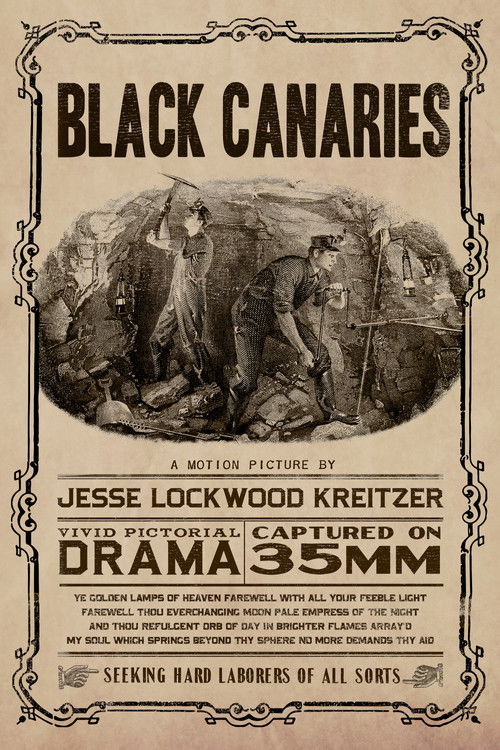 Black Canaries poster