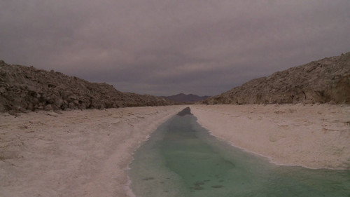 The United States of America