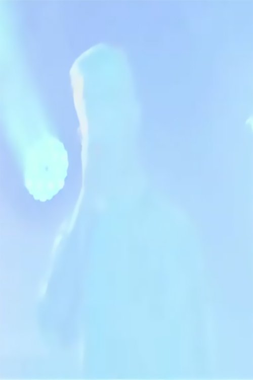 Karnivool - Live at Luna Park