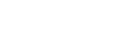 The Commodore Story