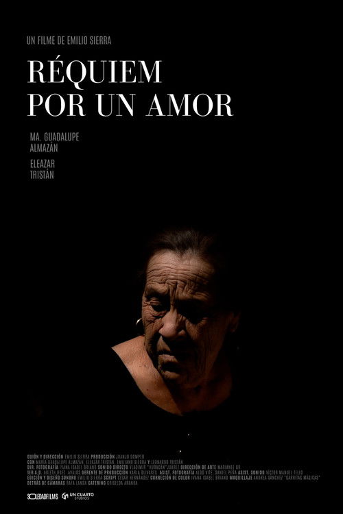 Requiem For A Love poster