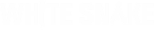 白蛇：缘起