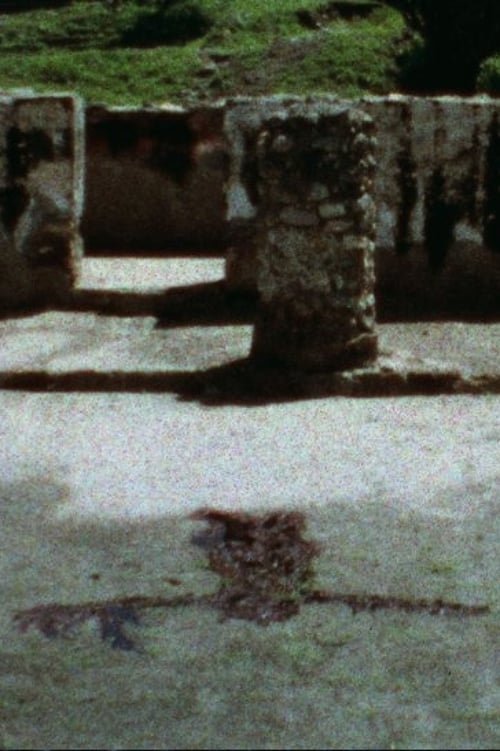 Silueta del Laberinto (Laberinth Blood Imprint) 1974
