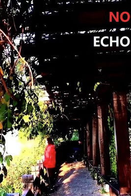 No Echo poster