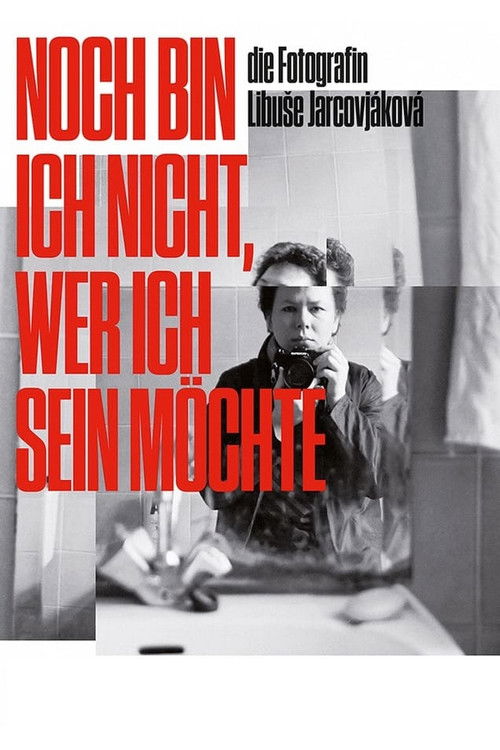 I'm Not Everything I Want to Be poster