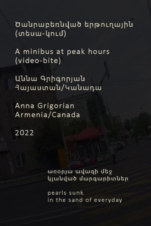 Minibus at Peak Hours (2022) poster