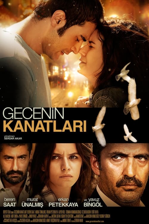 Gecenin Kanatları ( Gecenin Kanatları )