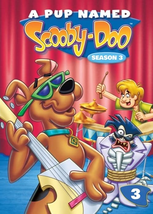 Scooby-Doo: A Pup Named Scooby-Doo, S03 - (1990)