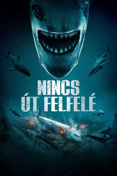 Image Nincs út felfelé