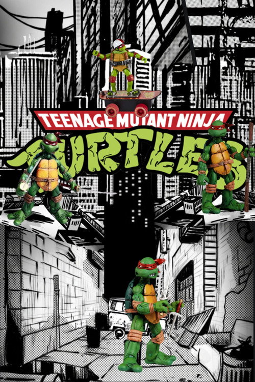 Ninja Turtles In the Shadows Trail