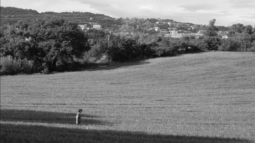 Hide and seek Backdrop Blur
