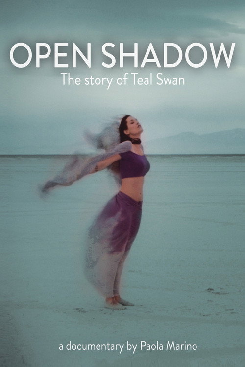 Open Shadow poster