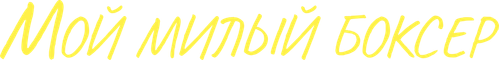 Мой милый боксёр