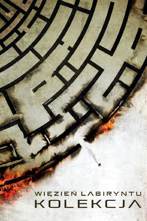 Maze Runner