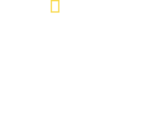 Shark vs. Surfer