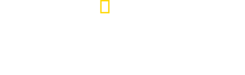 Great Shark Chow Down