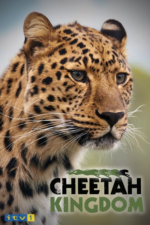 Poster Cheetah Kingdom