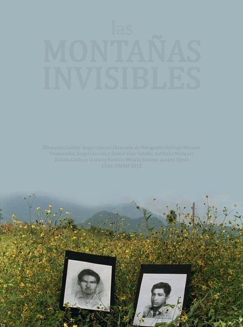 Las Montañas Invisibles movie poster player