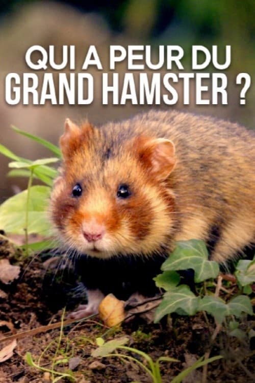 Poster Qui a peur du grand hamster ? 2020
