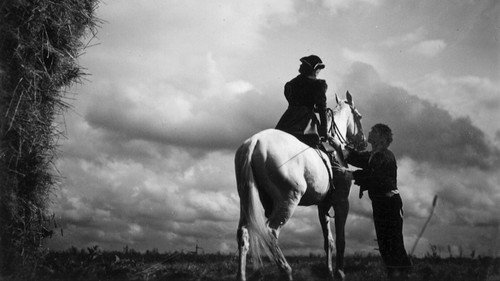 The Farm of Seven Sins