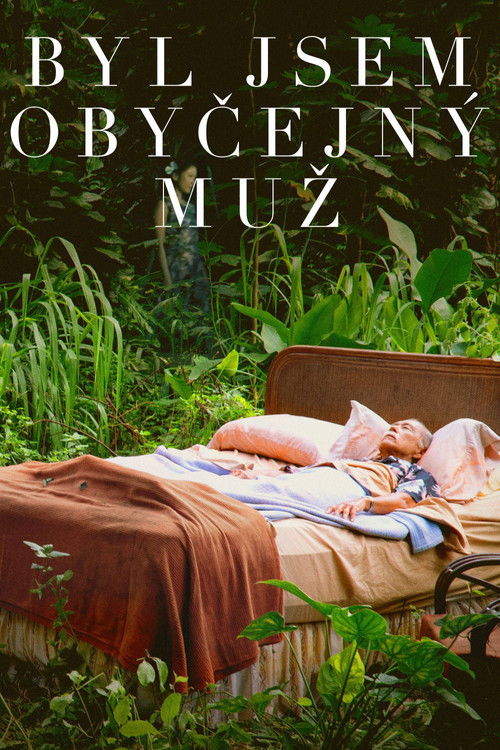 I Was a Simple Man poster