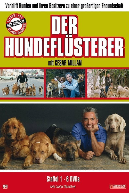 Staffel 1