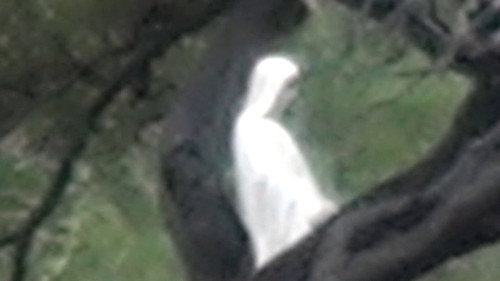 Yo vi a Jesús Bild 2