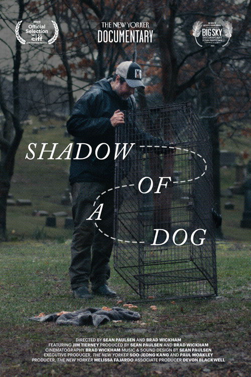 Shadow of a Dog