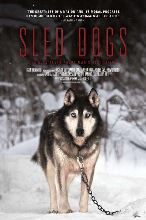 Sled Dogs poster