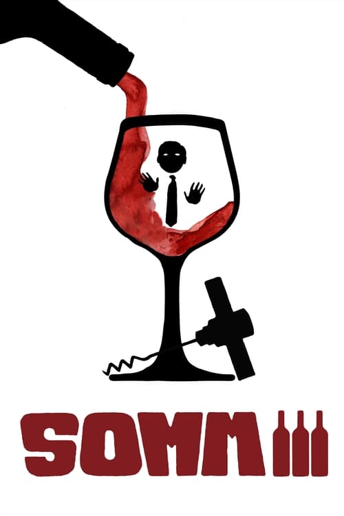 Where to stream SOMM 3