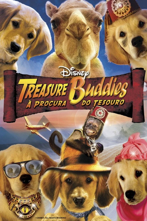Treasure Buddies: À Procura do Tesouro