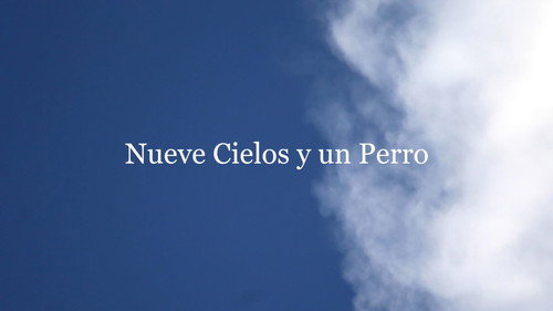 Nueve Cielos y un Perro Backdrop Blur