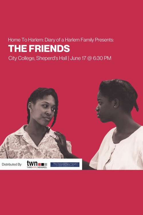 The Friends (1996) poster