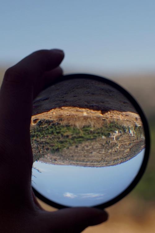 The Sun and the Looking Glass – for one easily forgets but the tree remembers poster