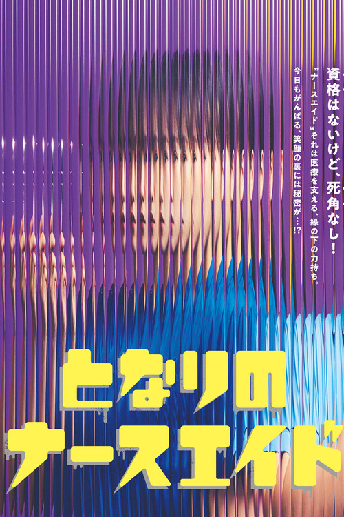 隔壁的护士助理2025特别篇