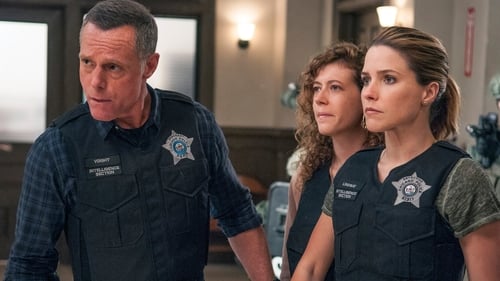 Chicago P.D. Distrito 21: 3×3