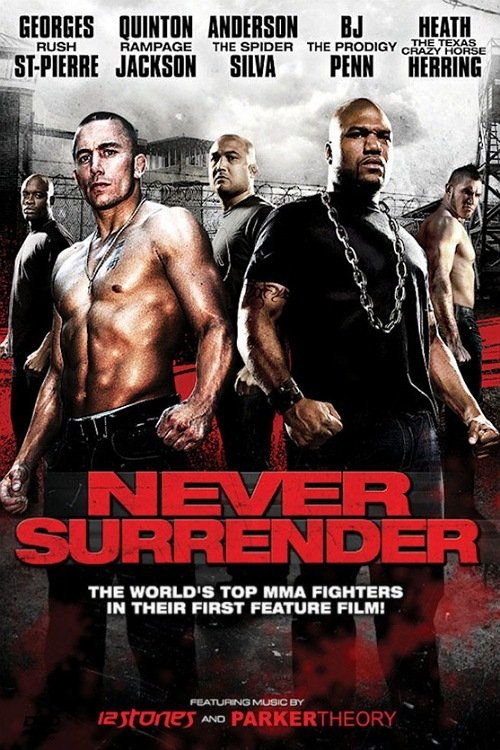 Never Surrender poster