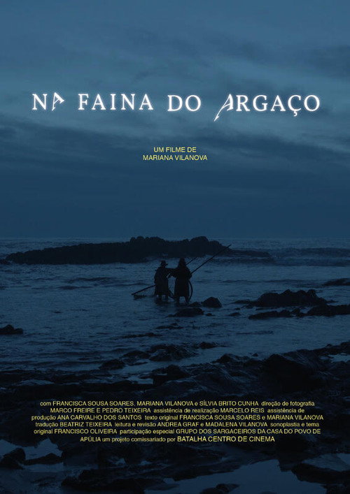 Na Faina do Argaço