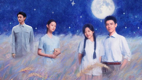 Love Story in the 1970s