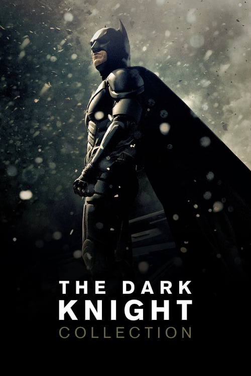 The Dark Knight Filmreihe Poster