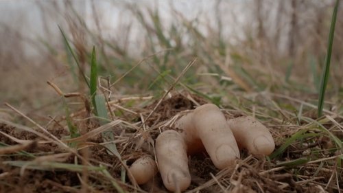 Image de l'épisode 119