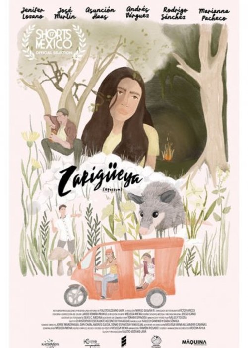 Zarigüeya poster