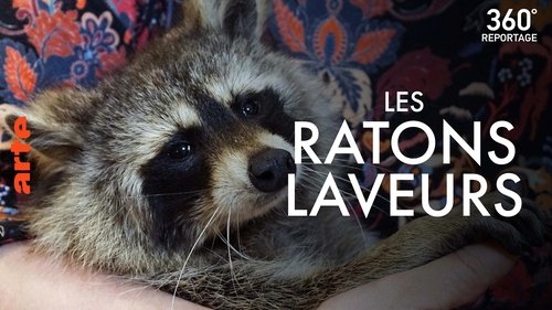 Image de l'épisode 10